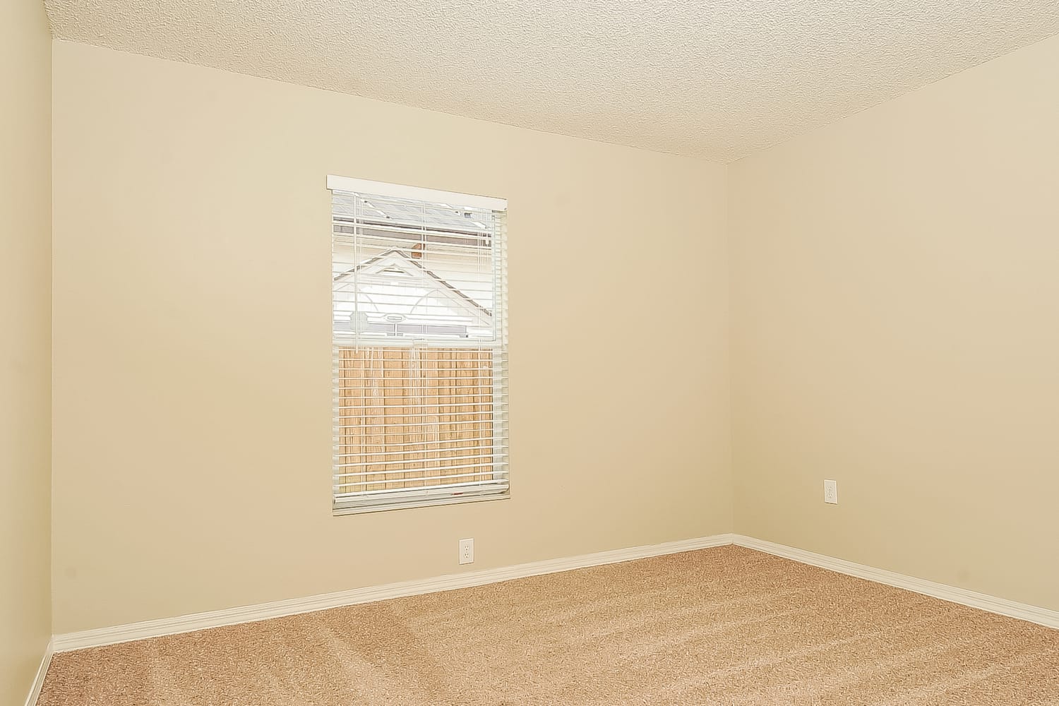 10819 Capstan Lake Dr Riverview photo 14