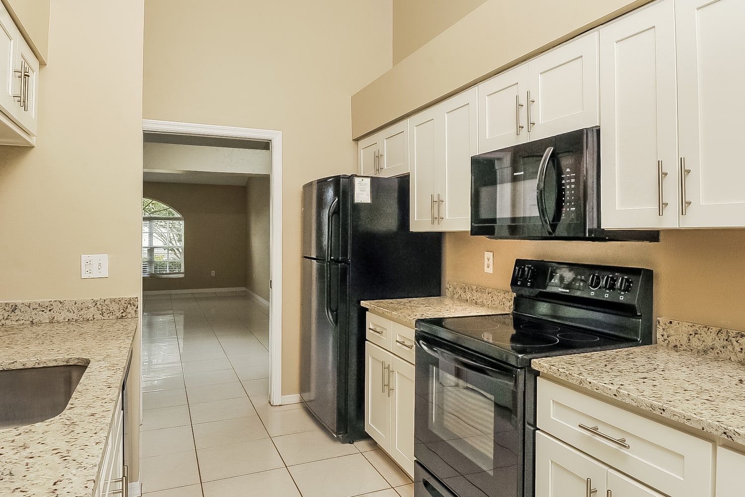 10819 Capstan Lake Dr Riverview photo 9