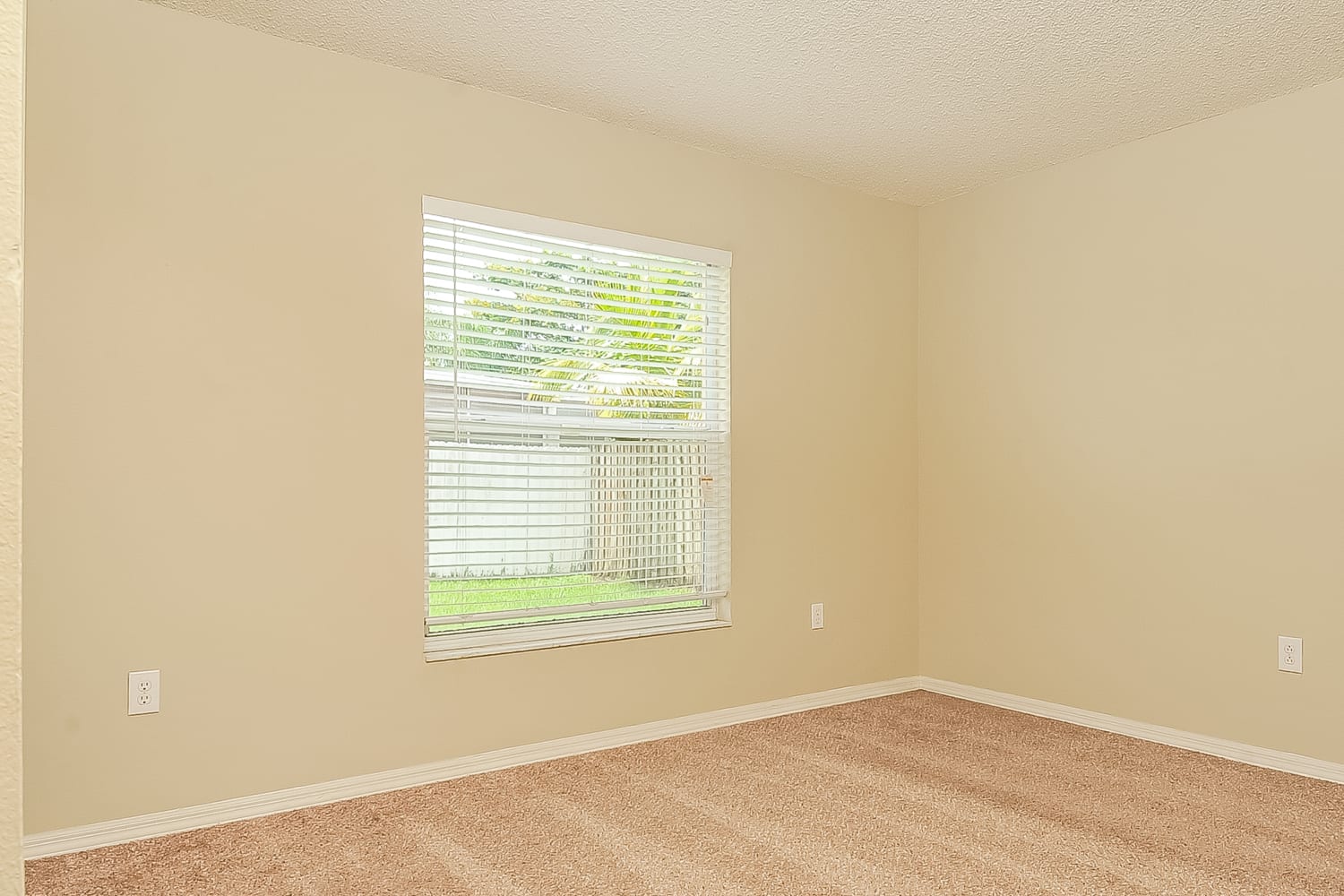 10819 Capstan Lake Dr Riverview photo 13