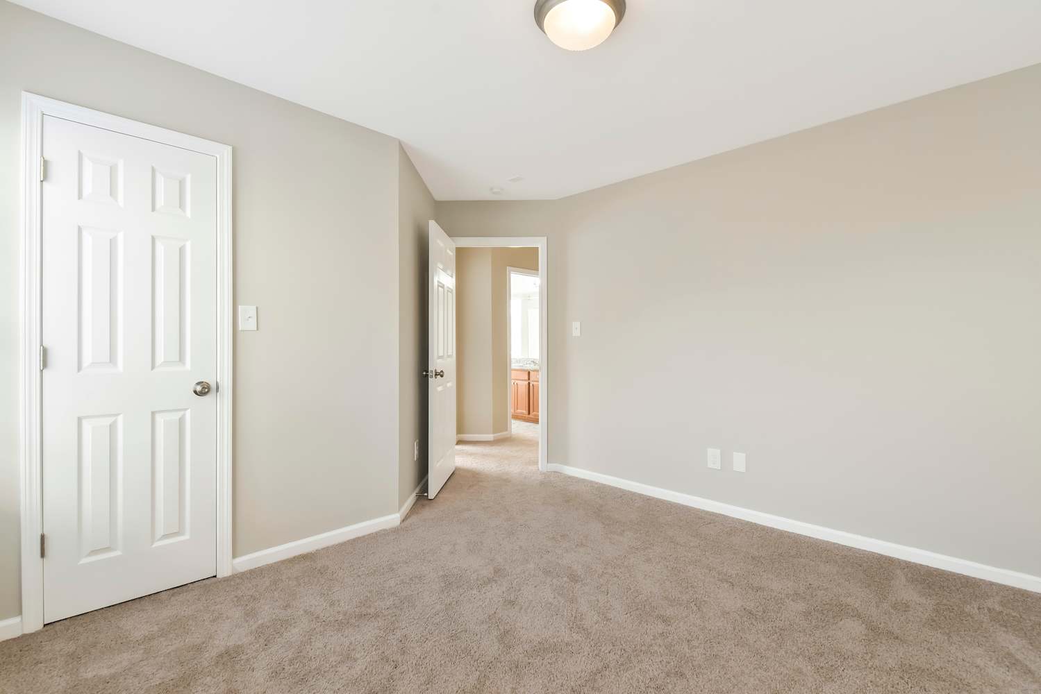 11428 Callahan Mill Dr Charlotte photo 21