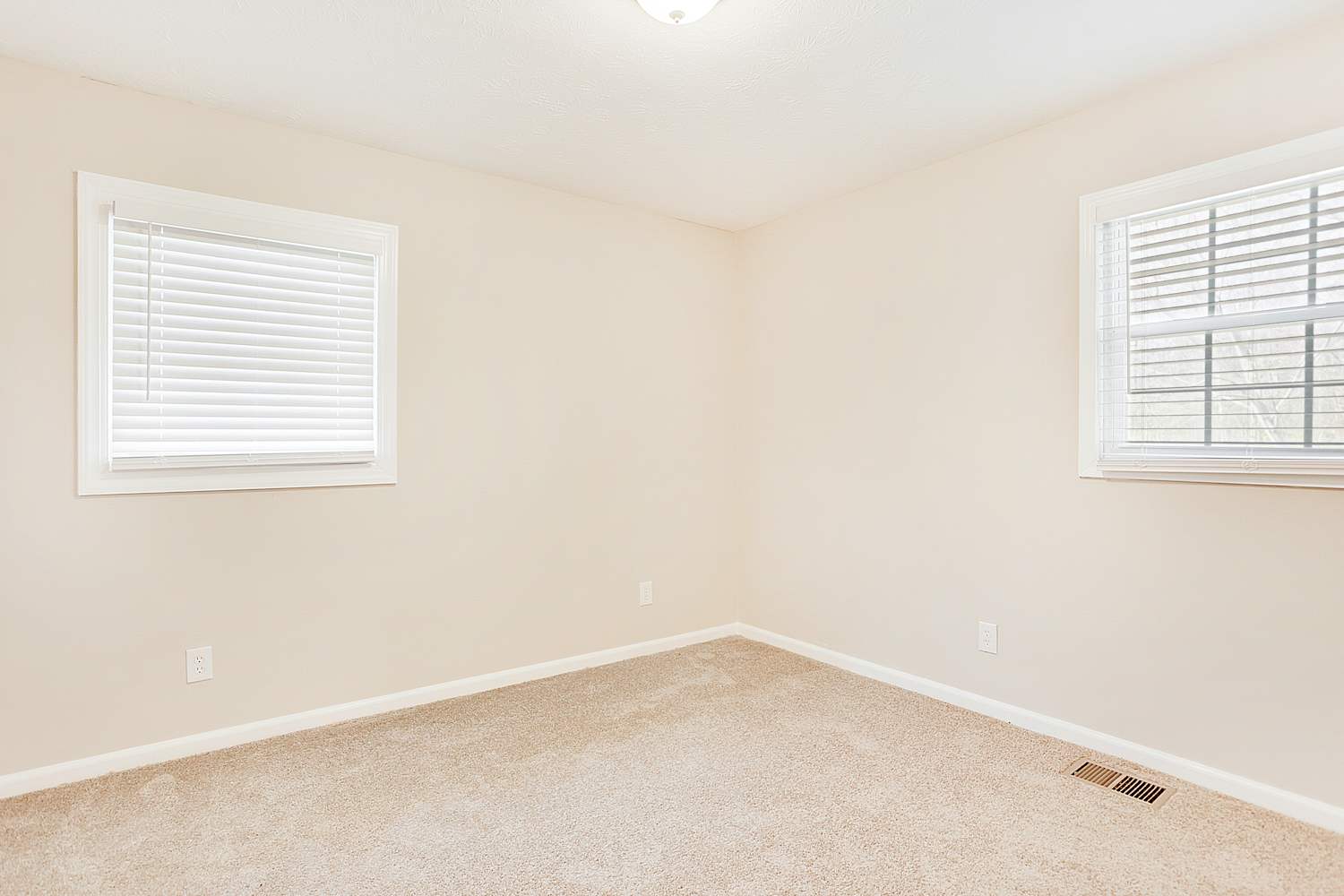 116 Rosewood Dr Dallas photo 16