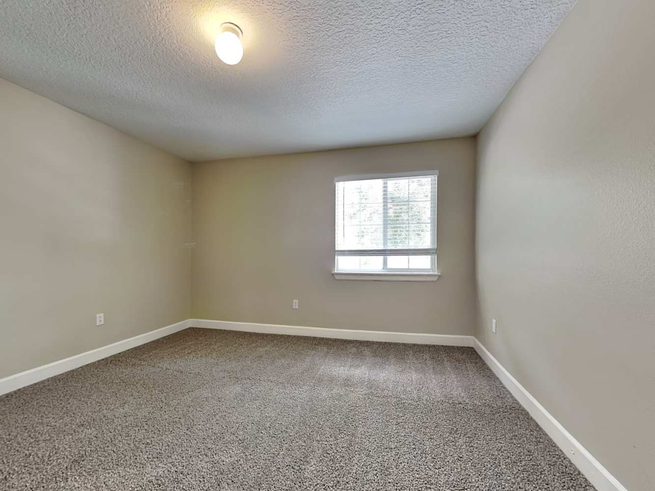 11926 Lark Song Loop Riverview photo 16