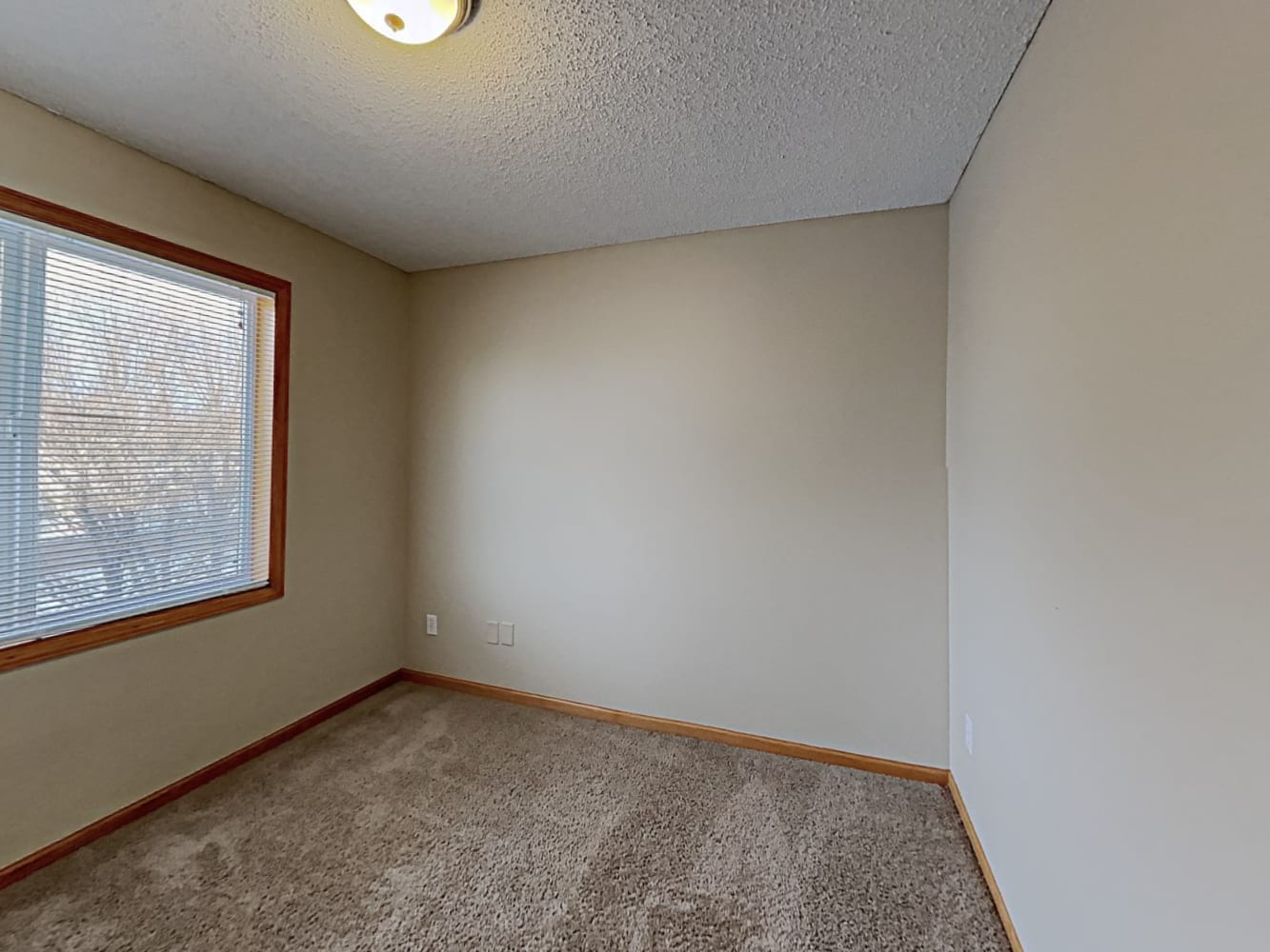 1311 Creekside Dr Waconia photo 10