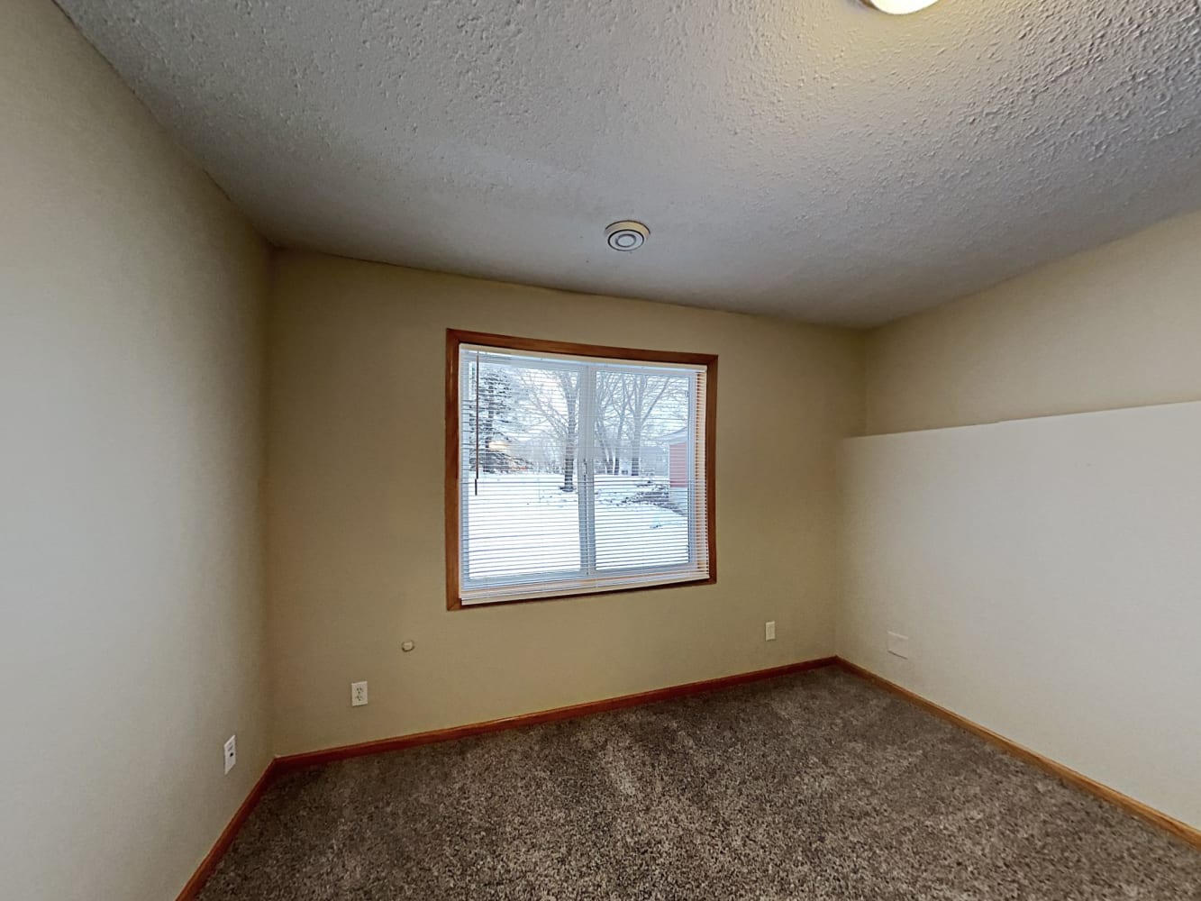 1311 Creekside Dr Waconia photo 8