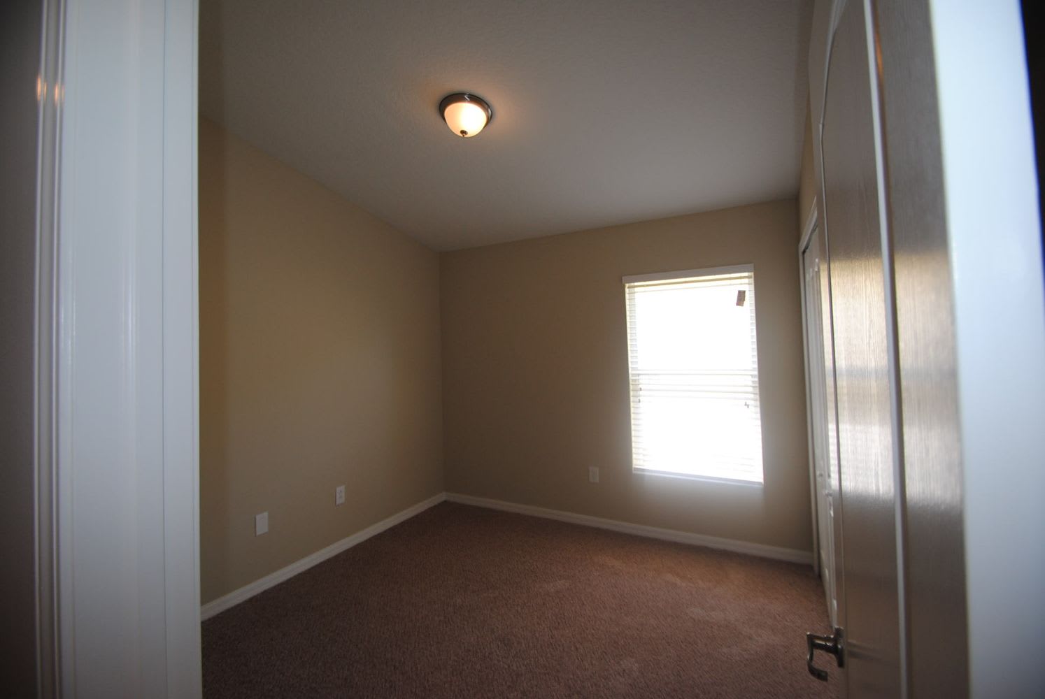 13528 Fladgate Mark Dr Riverview photo 10