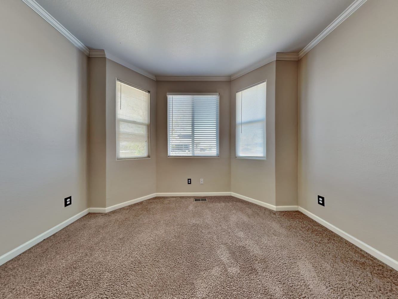 13585 E 107th Pl Commerce City photo 10