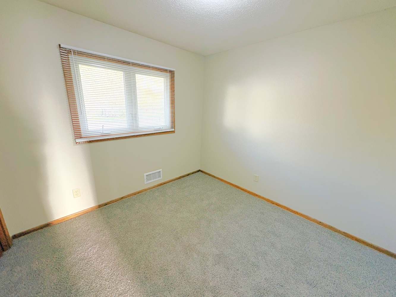 1411 Bidwell St Saint Paul photo 10
