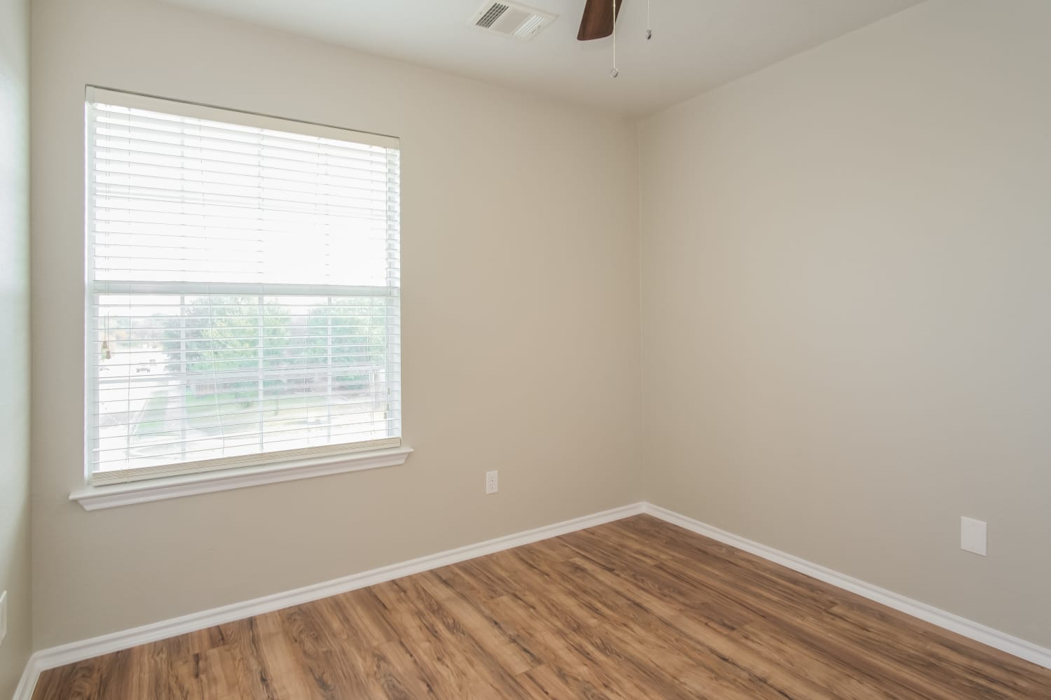 14820 Lipton Lane Pflugerville photo 9
