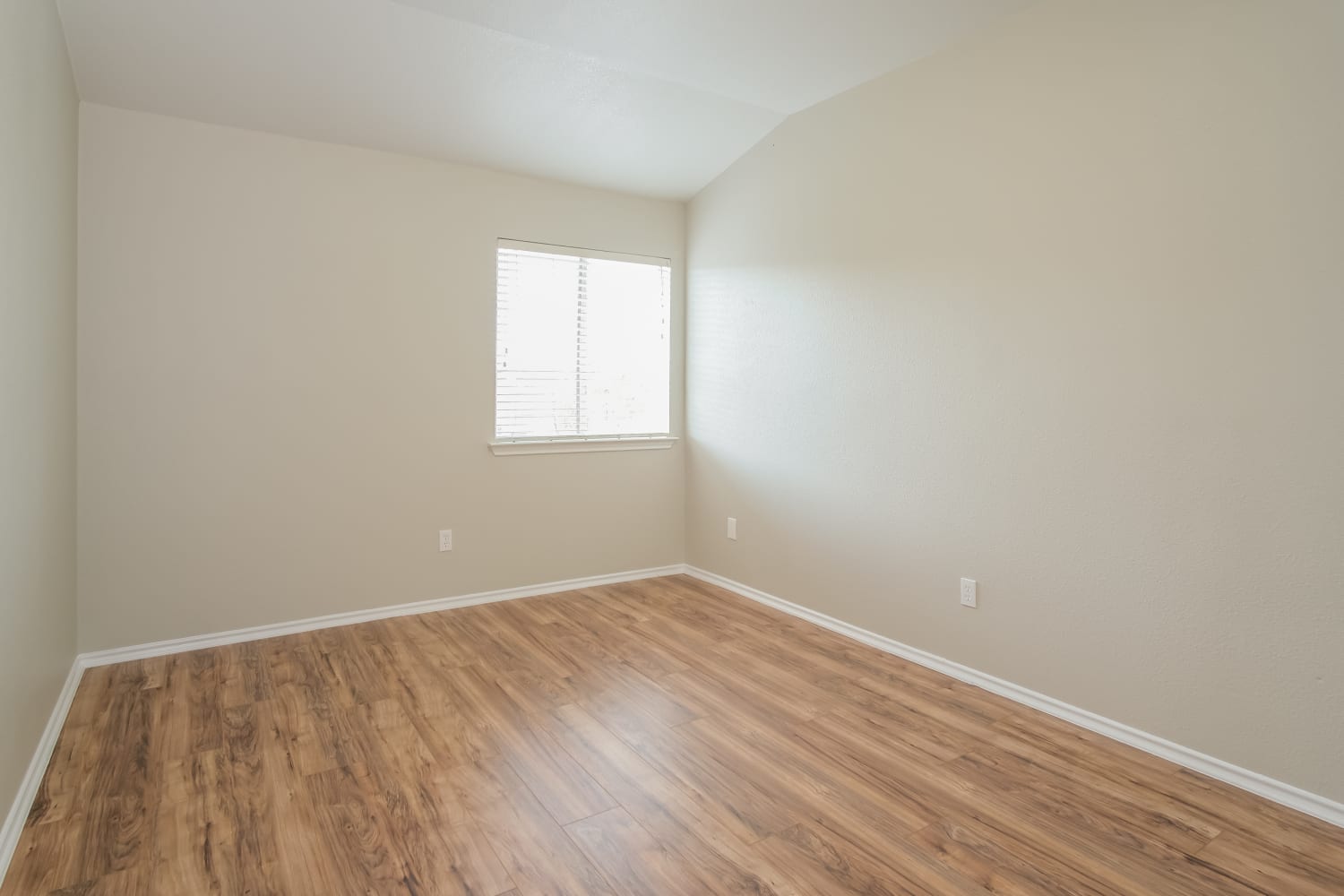 14820 Lipton Lane Pflugerville photo 8