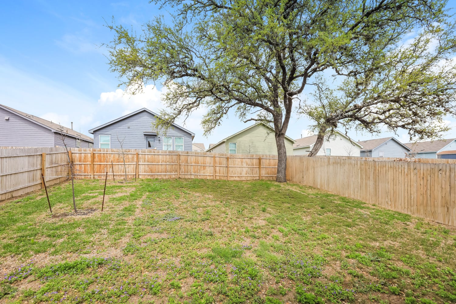 15003 Dorset Wheel San Antonio photo 16