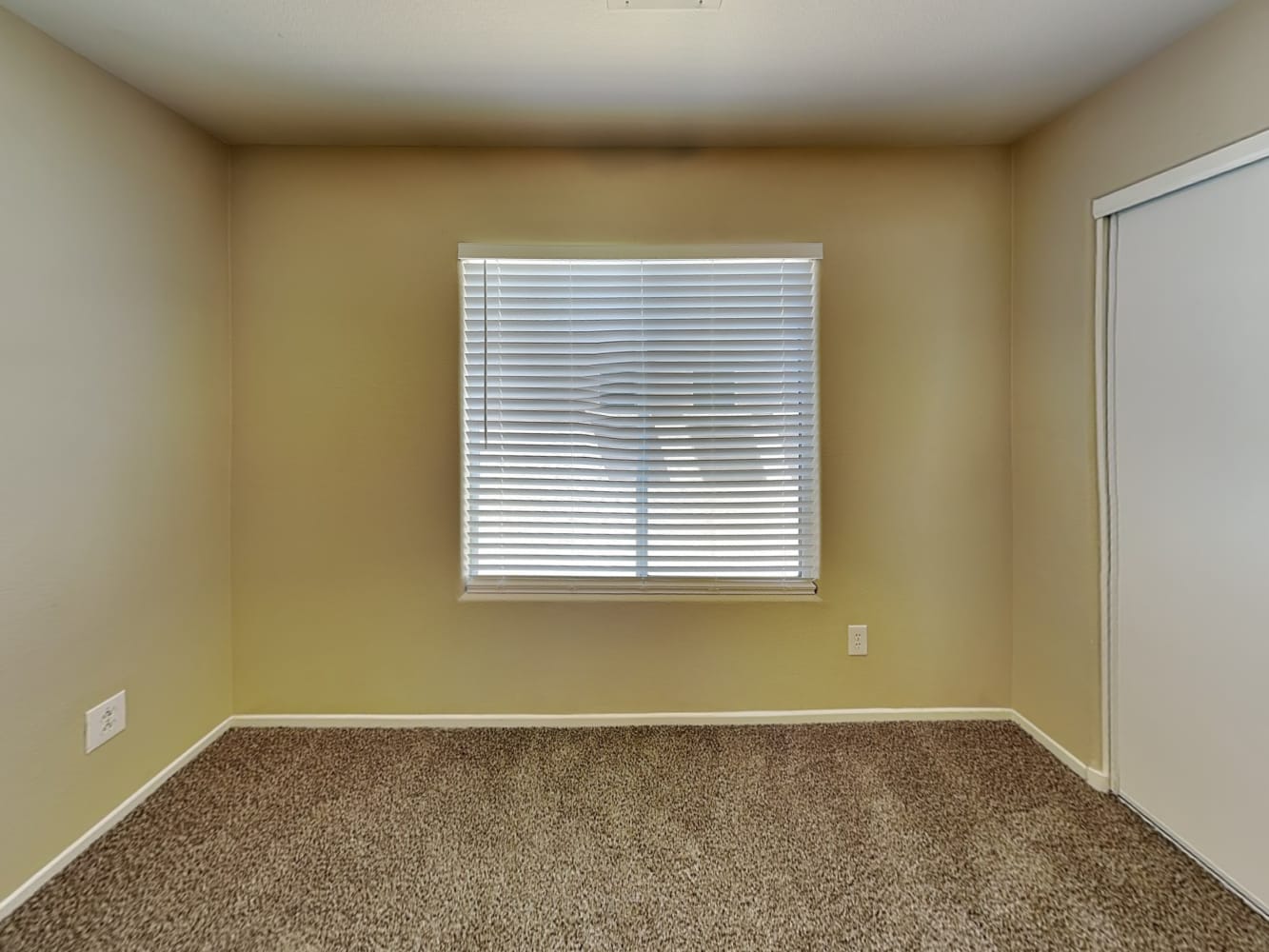 157 Almond Ridge Pl Henderson photo 11