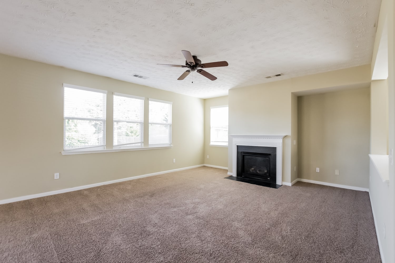 191 Parkmont Way Dallas photo 7