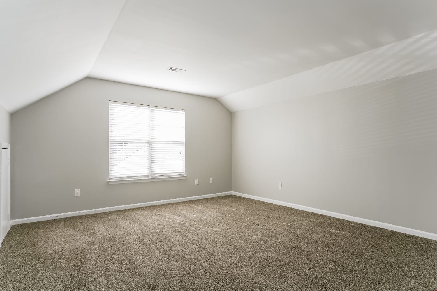 200 Gooseberry Dr Holly Springs photo 10