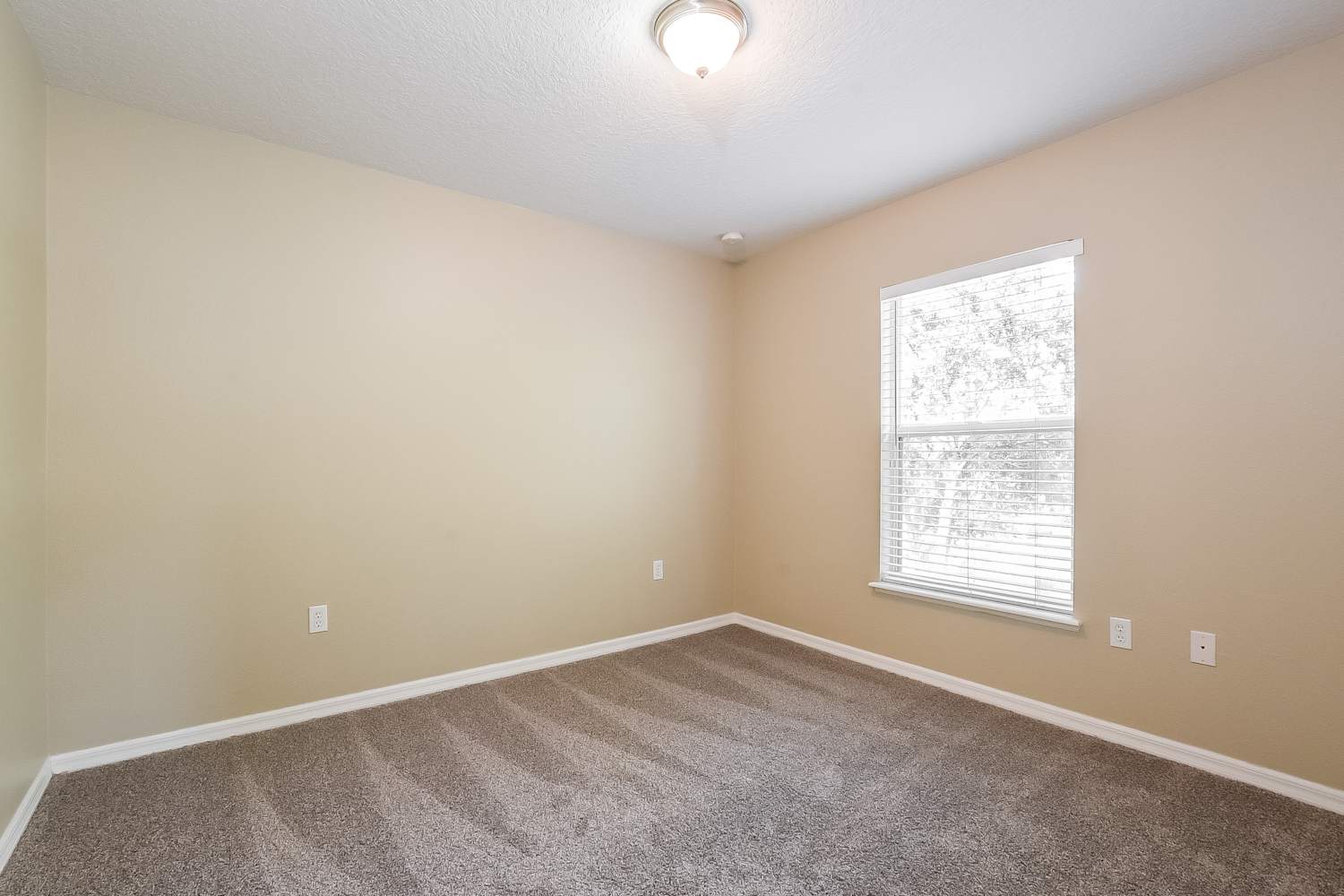 2949 Magnolia Blossom Cir Clermont photo 13