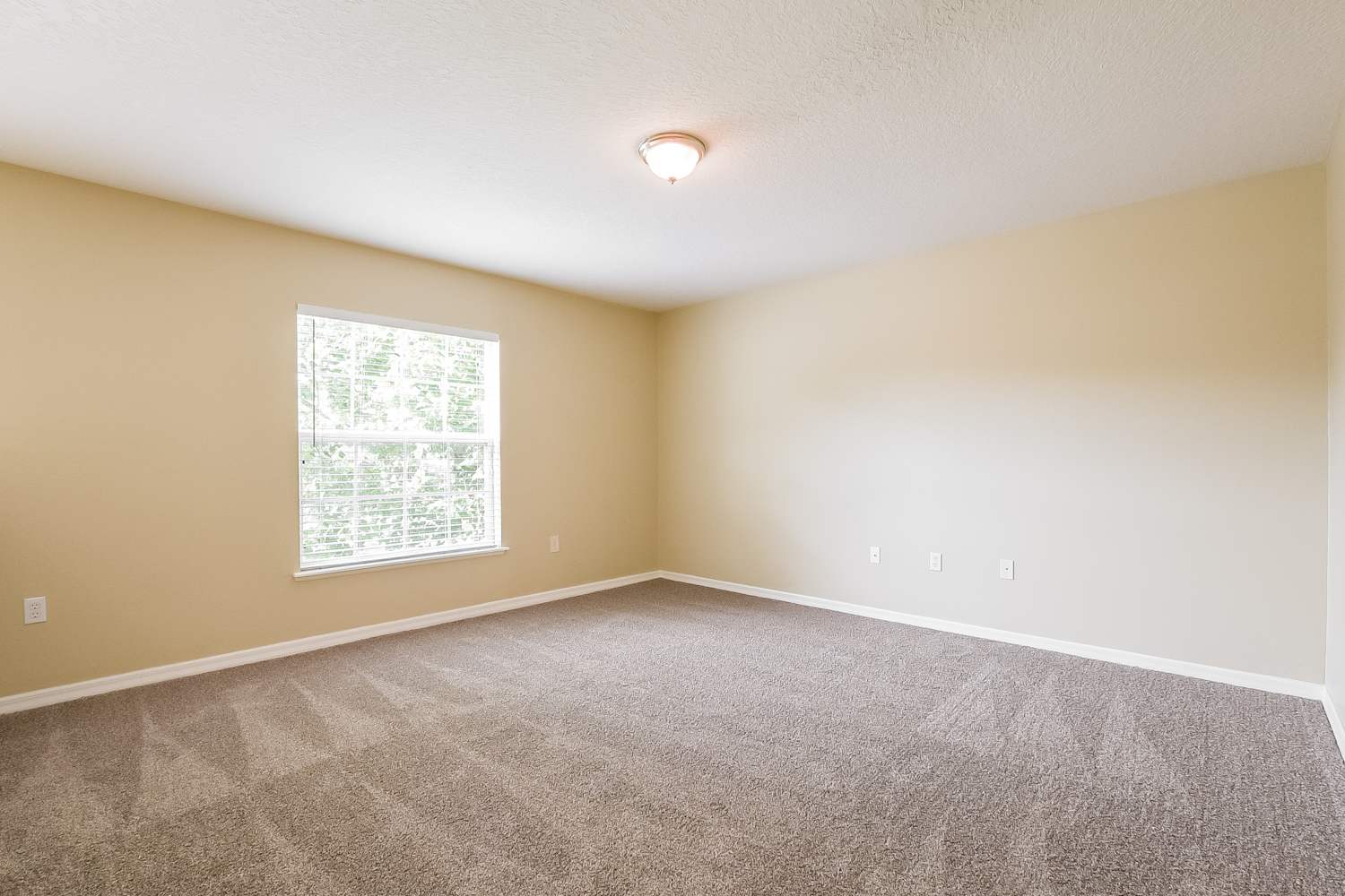 2949 Magnolia Blossom Cir Clermont photo 11