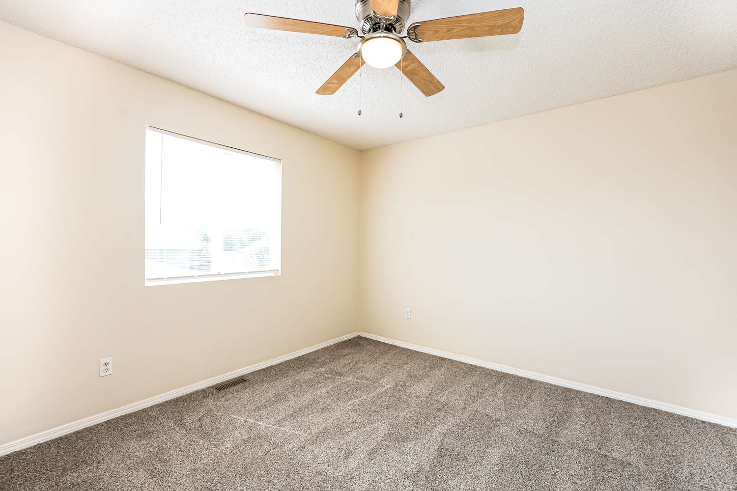 2990 Frazier Ln Colorado Springs photo 14