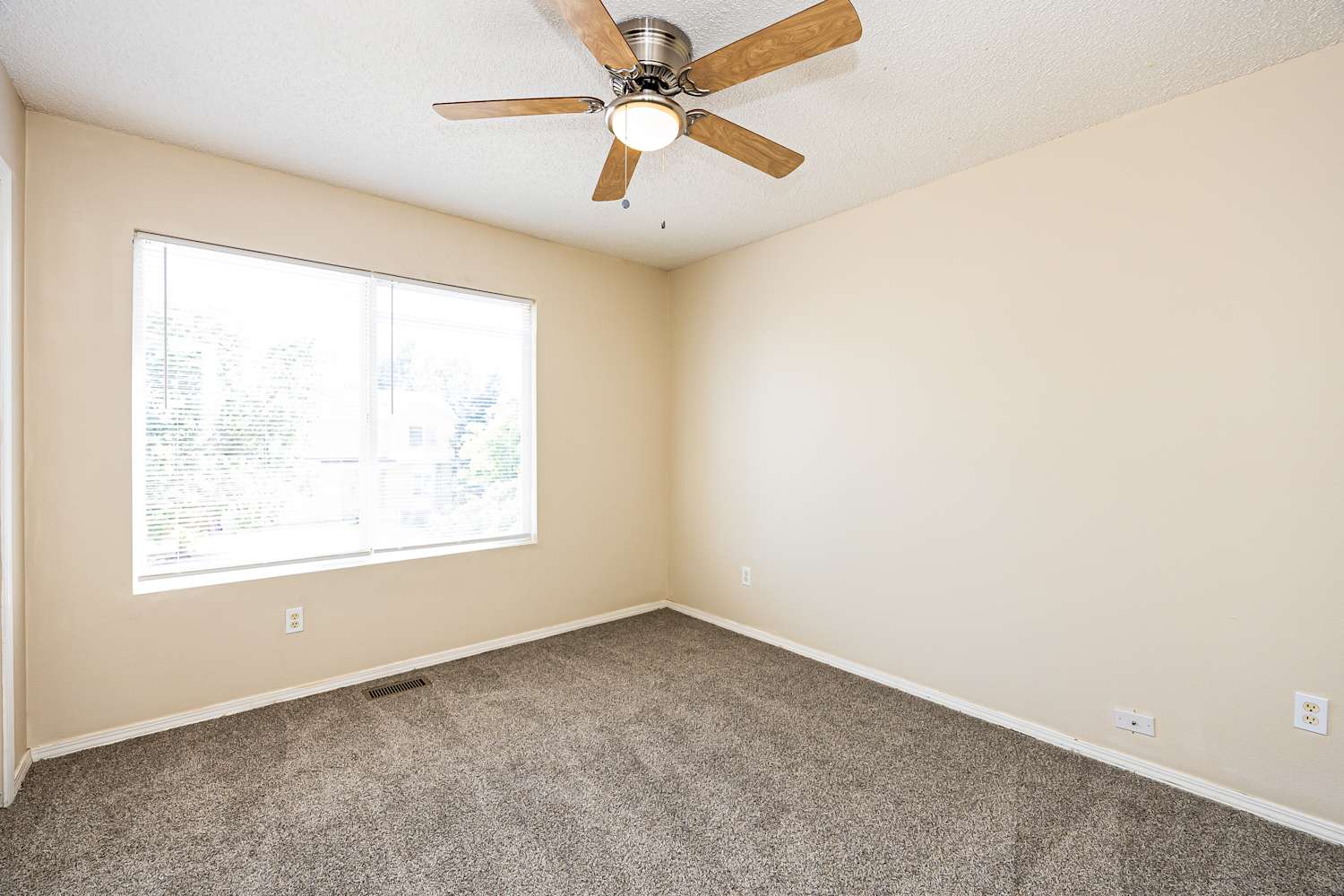 2990 Frazier Ln Colorado Springs photo 13