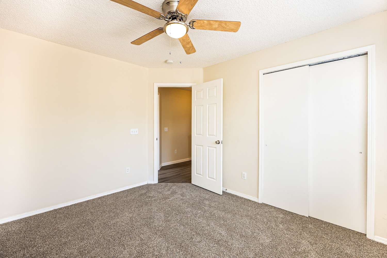 2990 Frazier Ln Colorado Springs photo 11