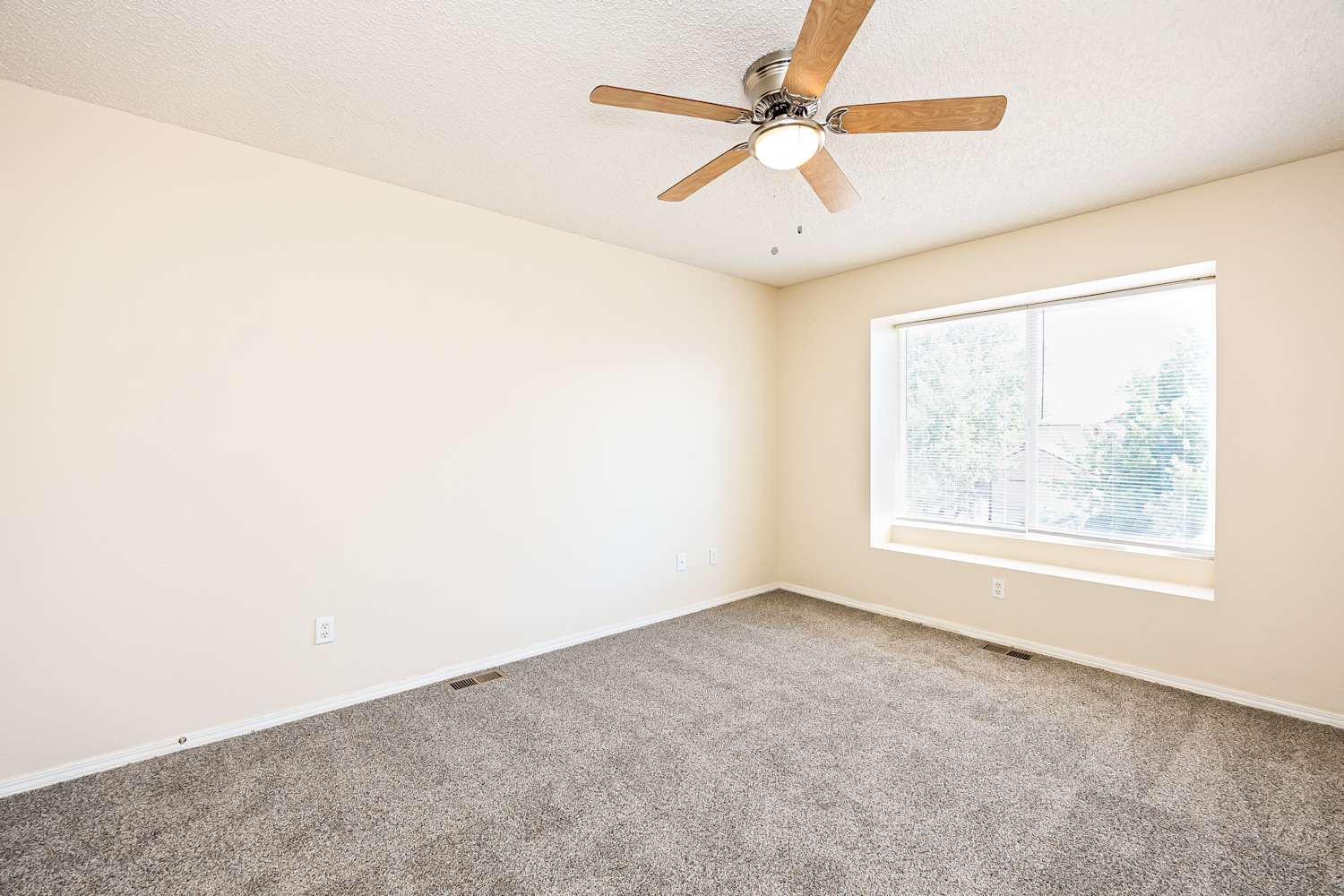 2990 Frazier Ln Colorado Springs photo 12