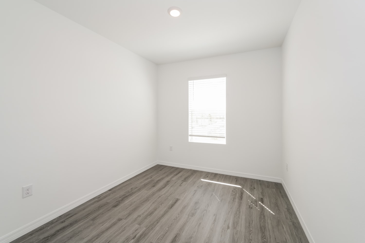 31267 Monterey Pine St Wesley Chapel photo 17