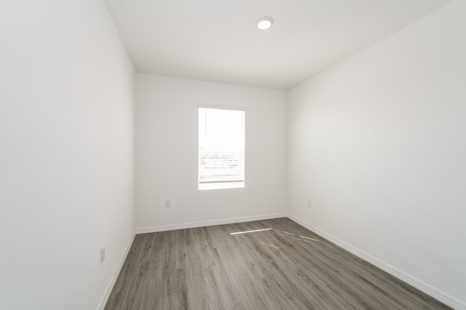 31267 Monterey Pine St Wesley Chapel photo 16