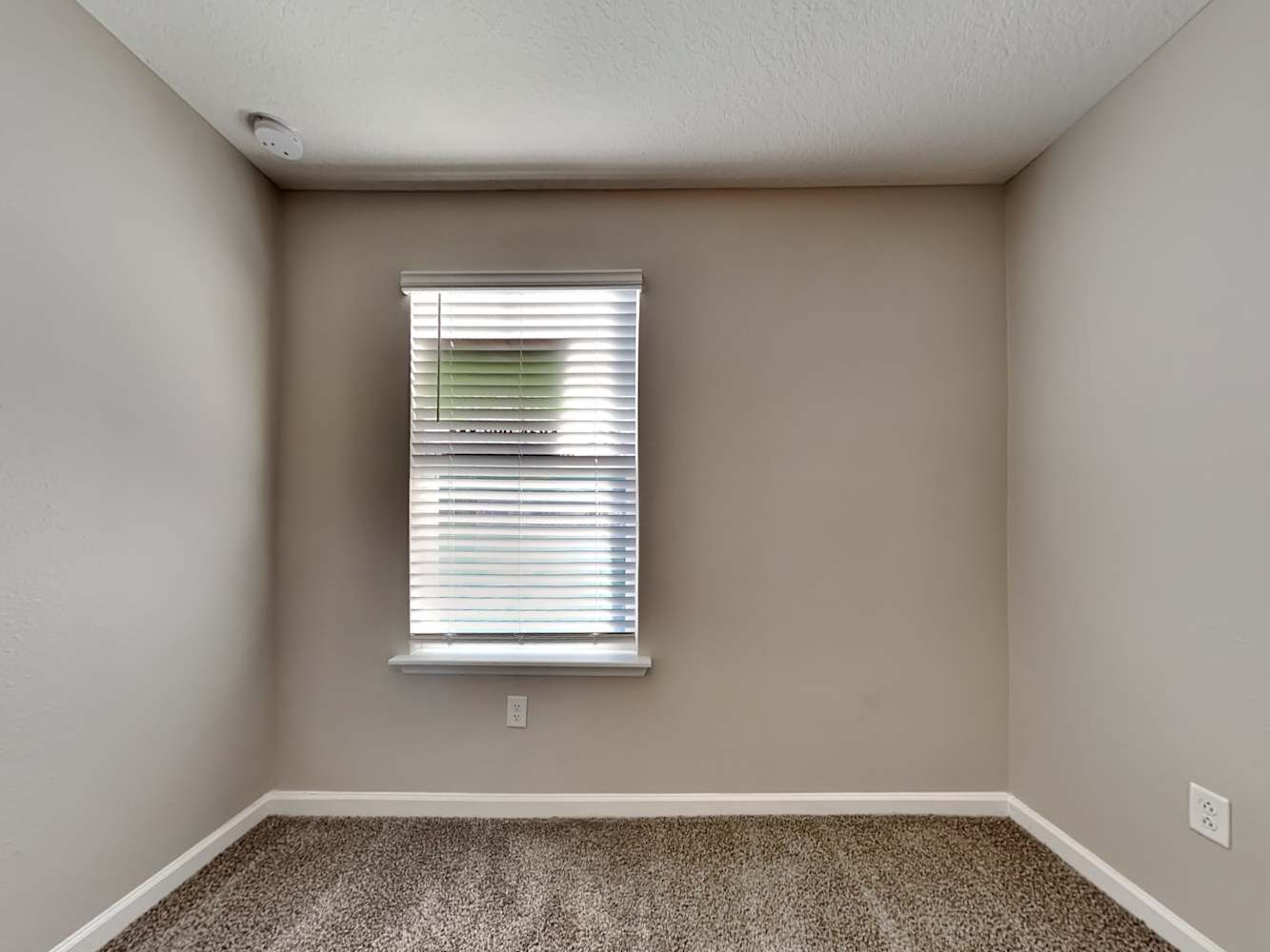 374 Cherry Ridge Dr Orange Park photo 17