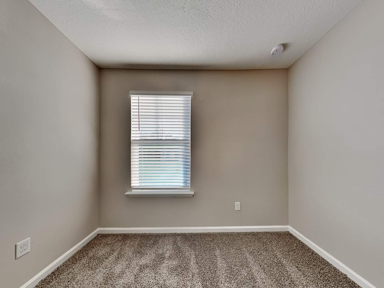 374 Cherry Ridge Dr Orange Park photo 14