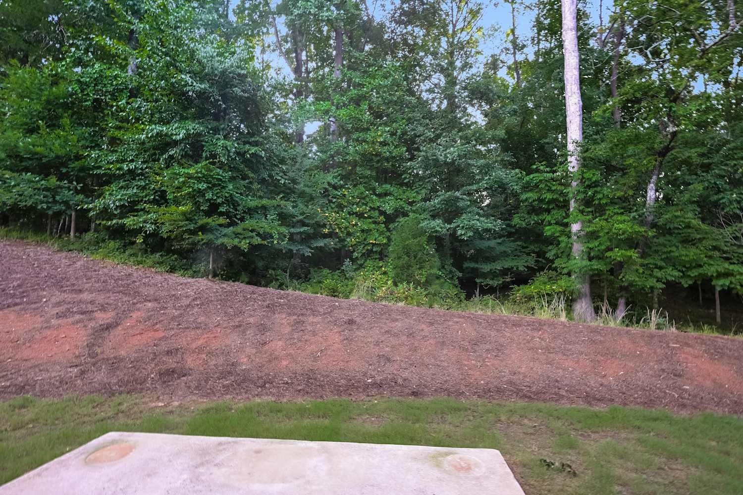 378 White Trillium Dr Hoschton photo 17