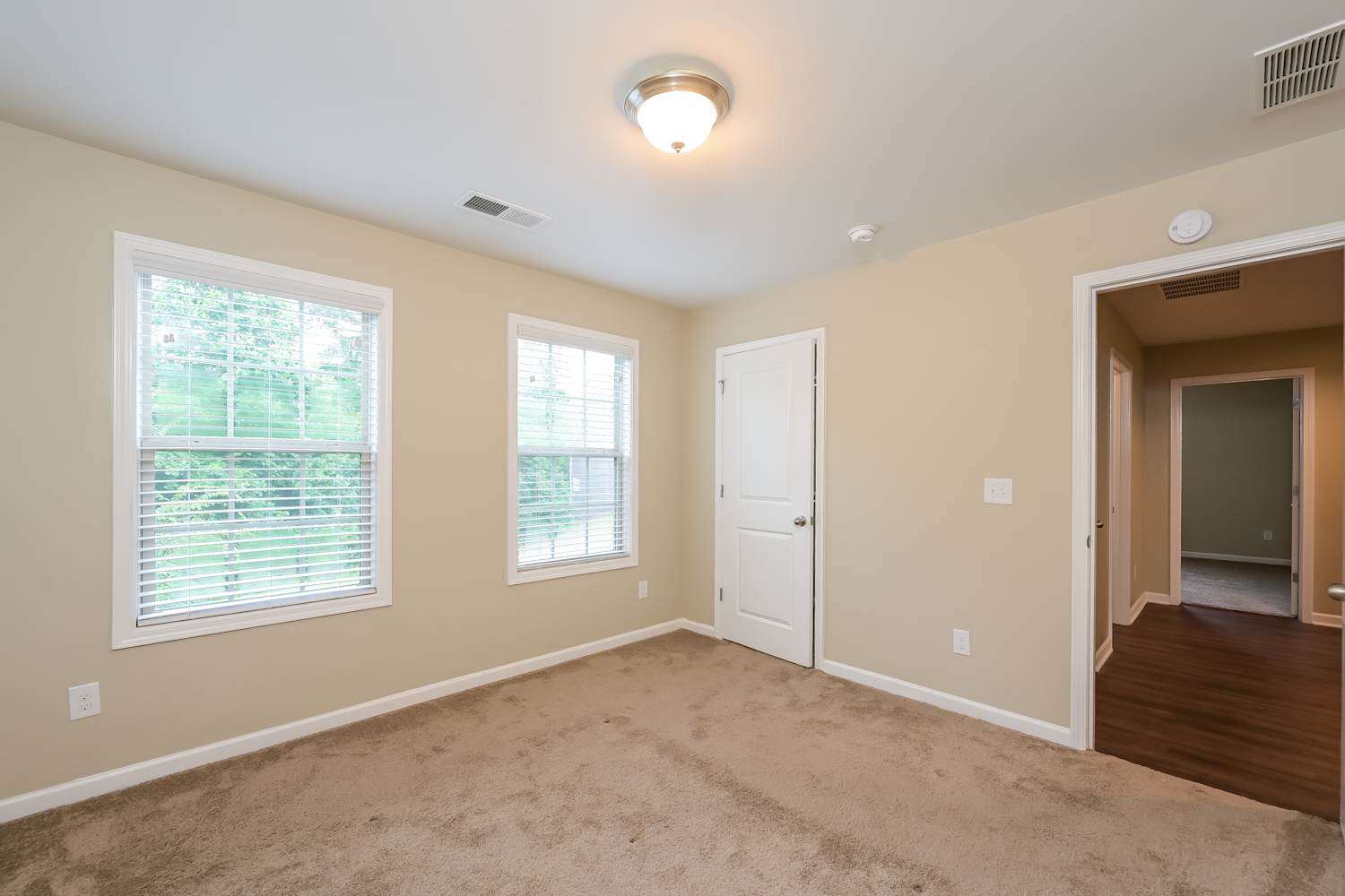 378 White Trillium Dr Hoschton photo 13