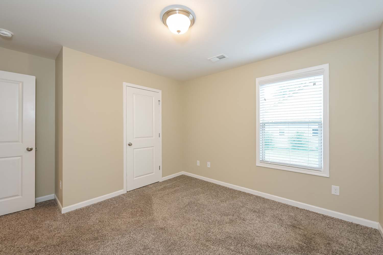 378 White Trillium Dr Hoschton photo 14
