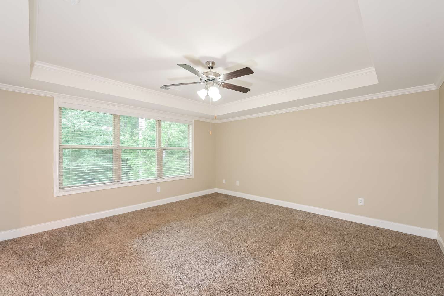 378 White Trillium Dr Hoschton photo 10