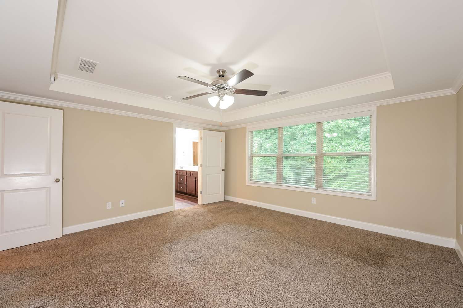 378 White Trillium Dr Hoschton photo 9