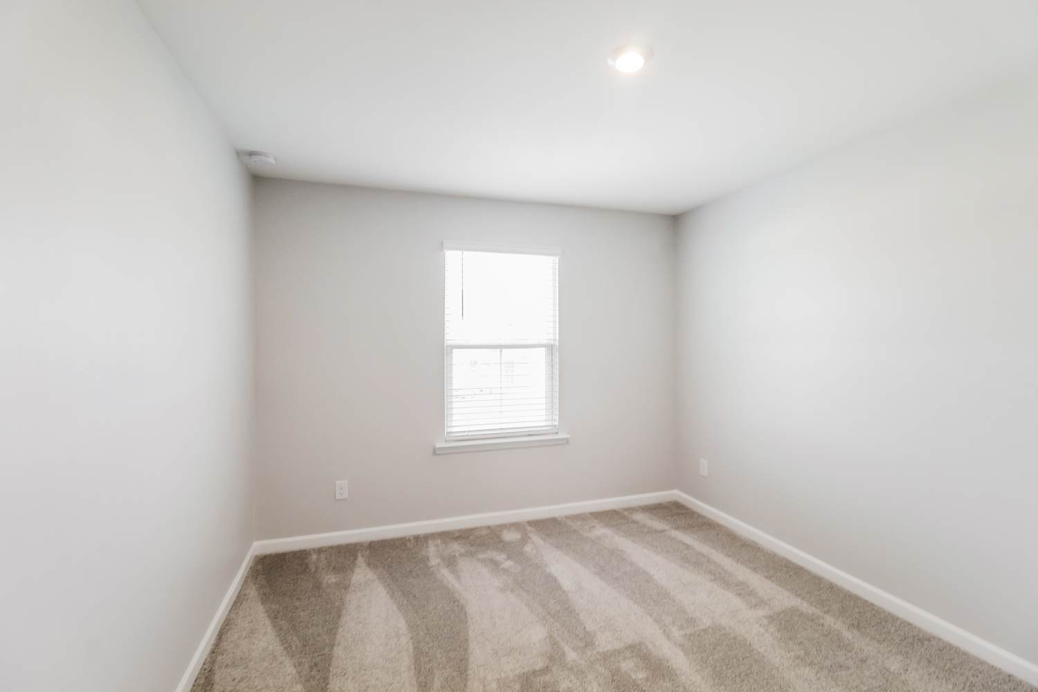 4036 Ferris Ln Covington photo 13
