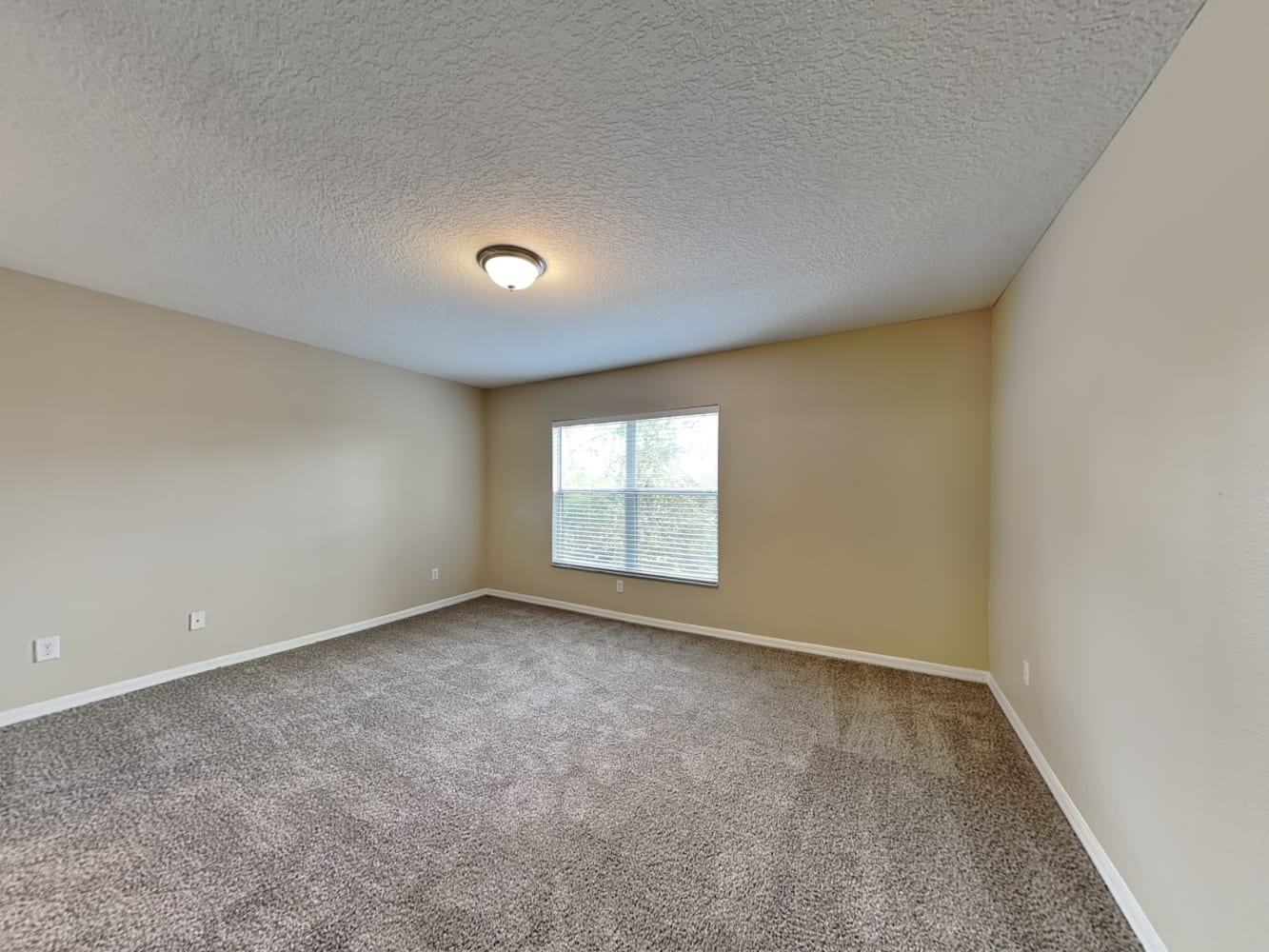 4591 Lacebark Trl Oviedo photo 9