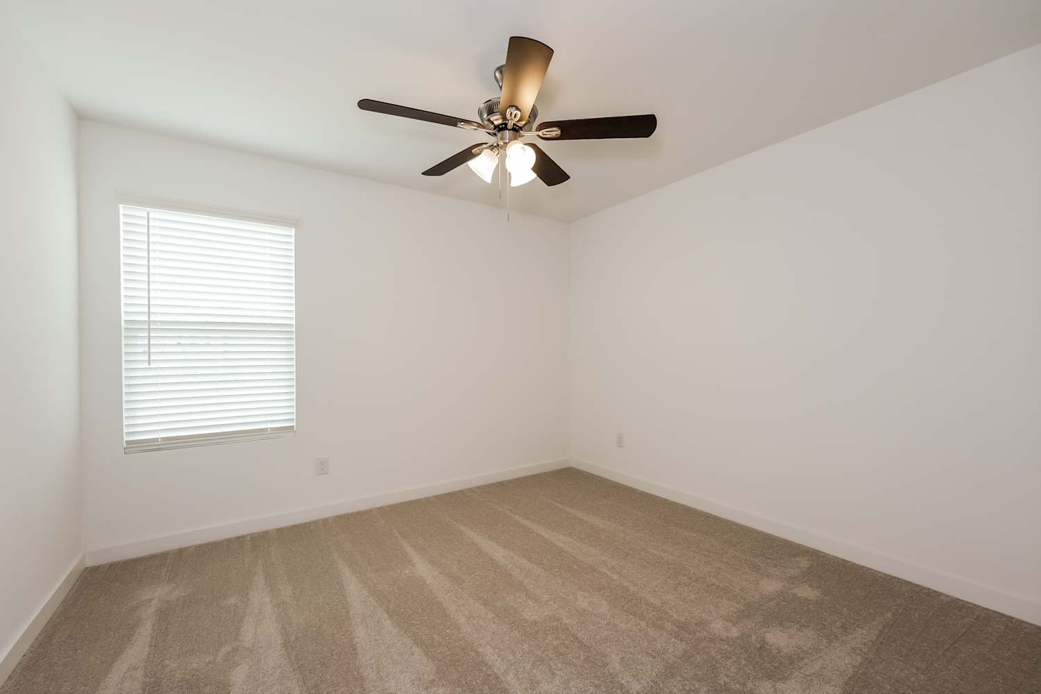 4901 Draper Ridge Dr Fort Worth photo 18