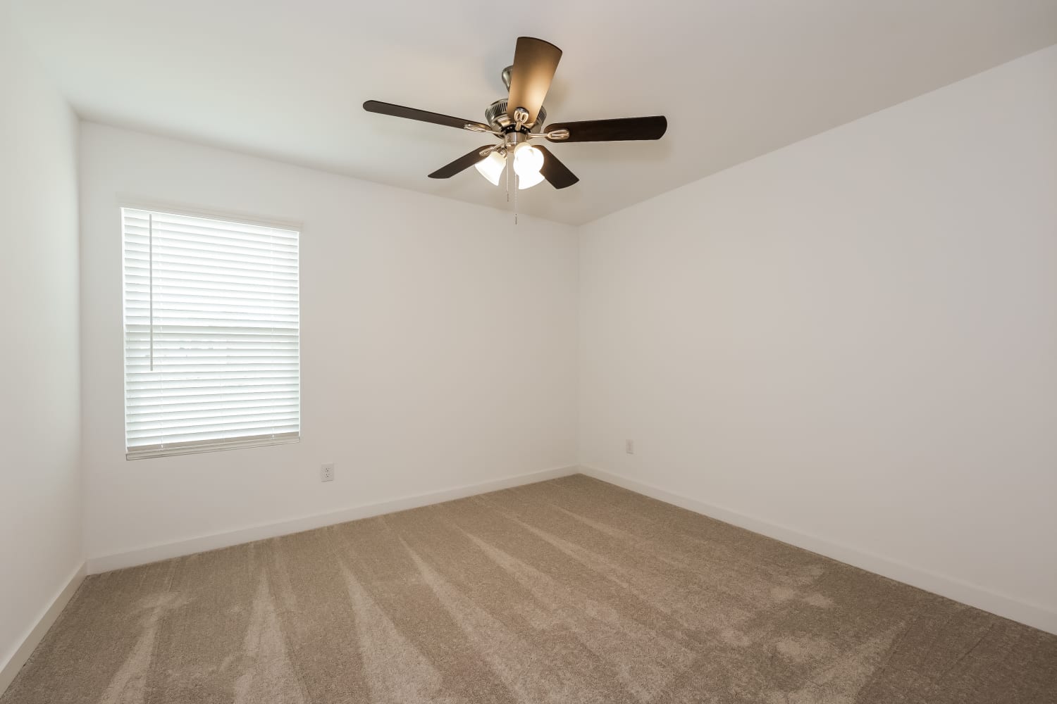 4909 Grey Fallow St Fort Worth photo 15
