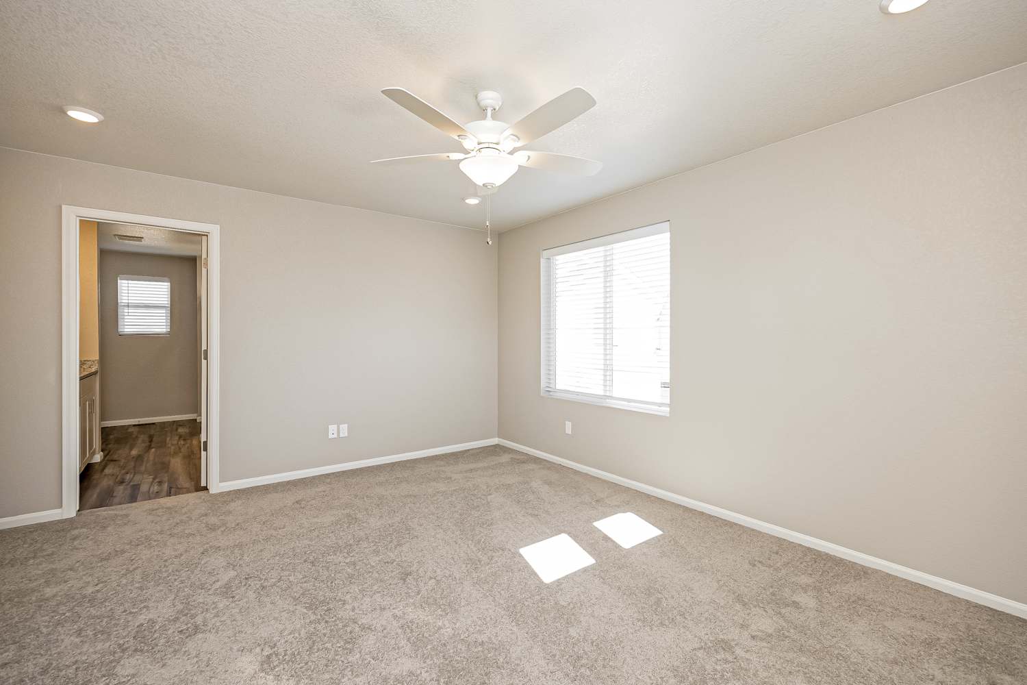 5635 Bowerman Ln Colorado Springs photo 9