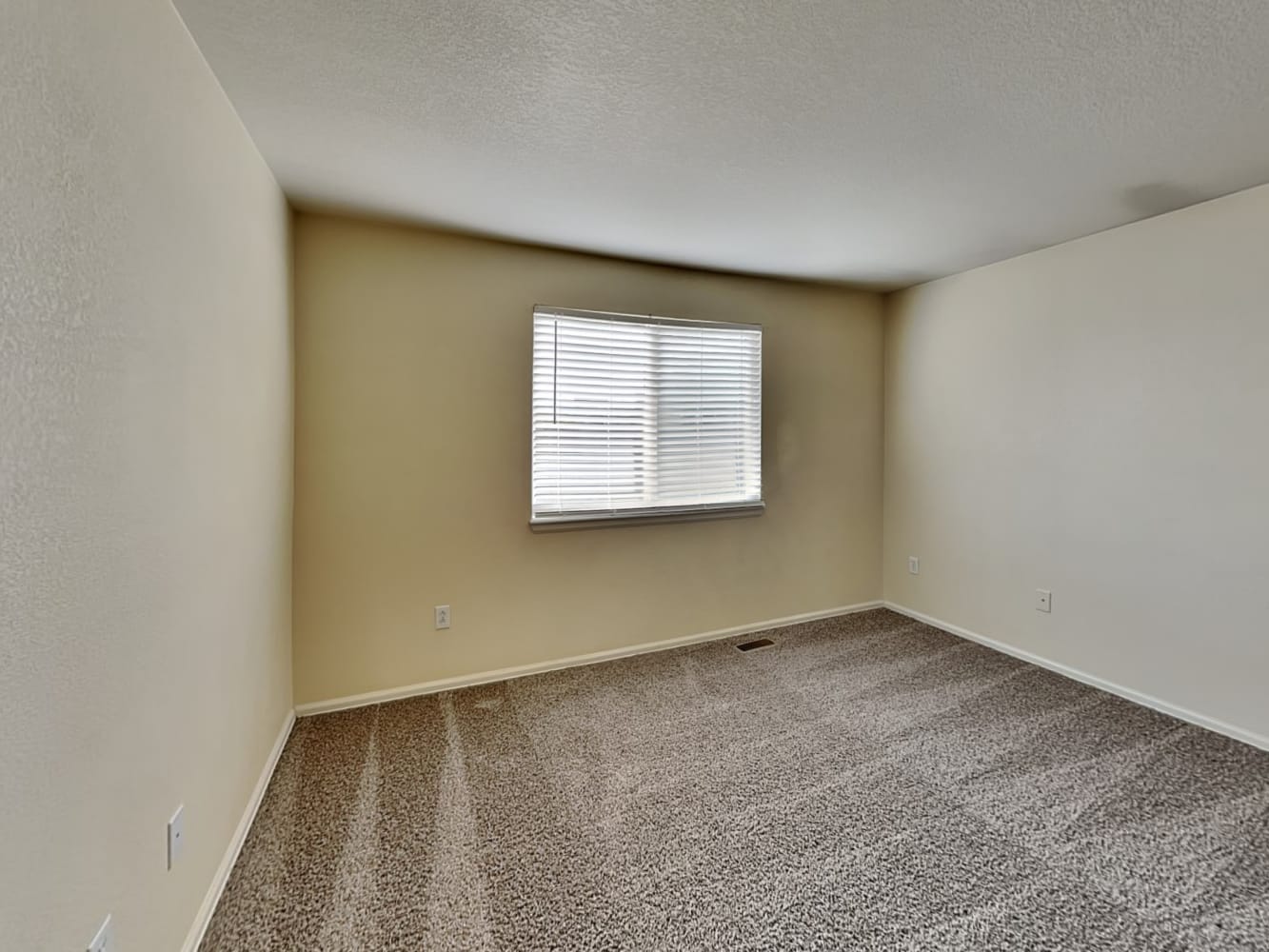 5798 Charlotte Pkwy Colorado Springs photo 9