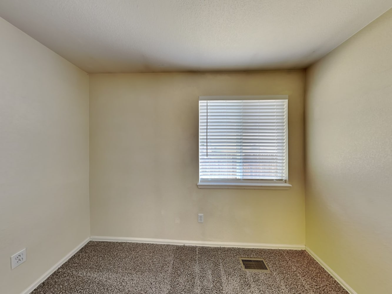 5798 Charlotte Pkwy Colorado Springs photo 12