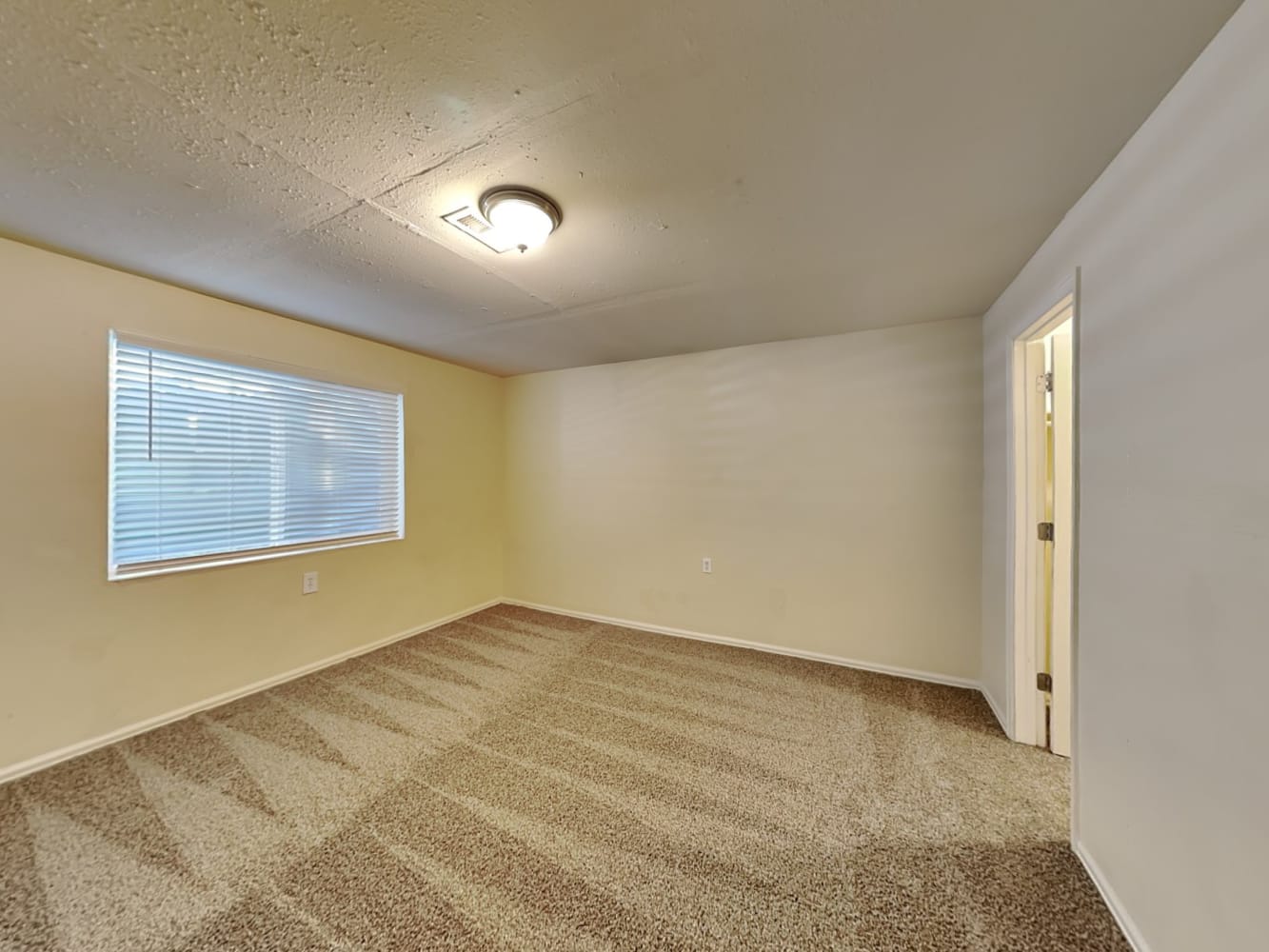5798 Charlotte Pkwy Colorado Springs photo 15