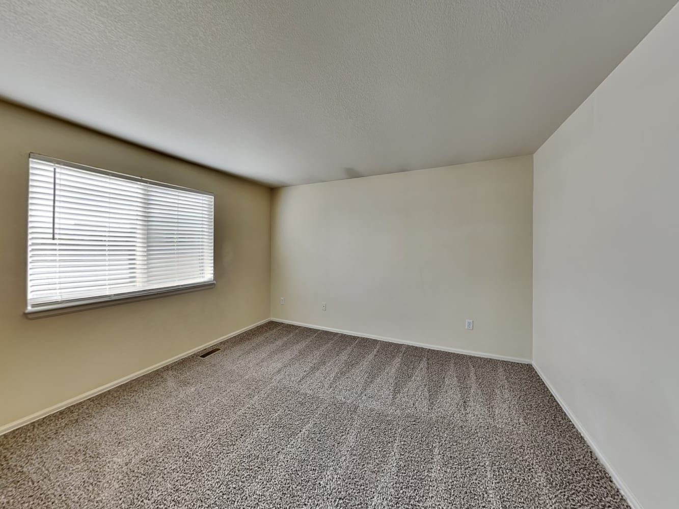 5798 Charlotte Pkwy Colorado Springs photo 10