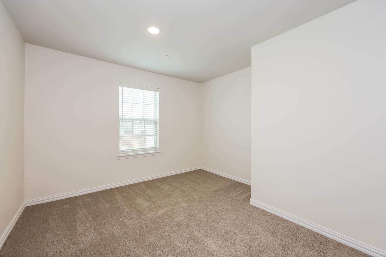 6409 Blue Trl Arlington photo 12