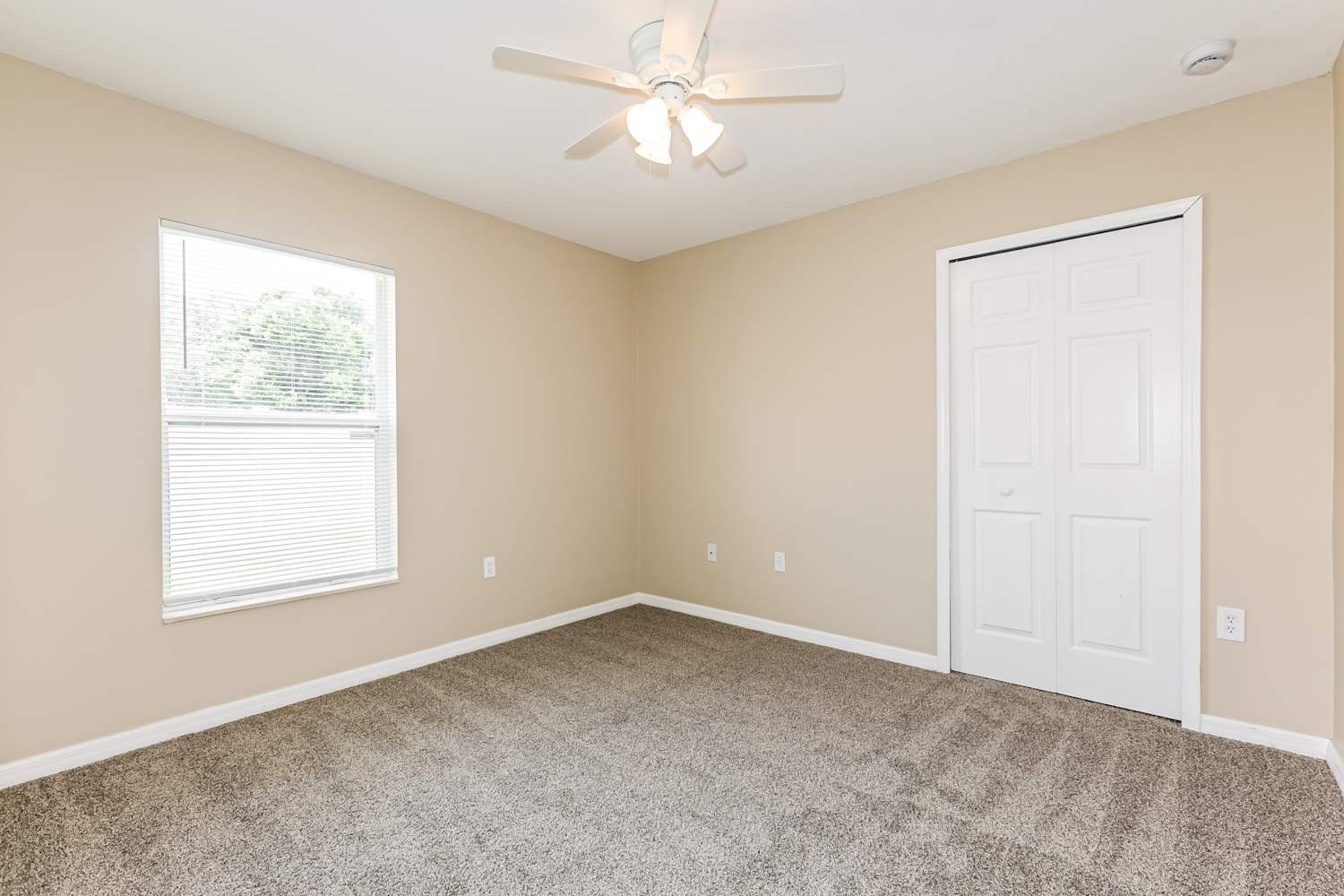 7205 Royal George Ct Zephyrhills photo 14