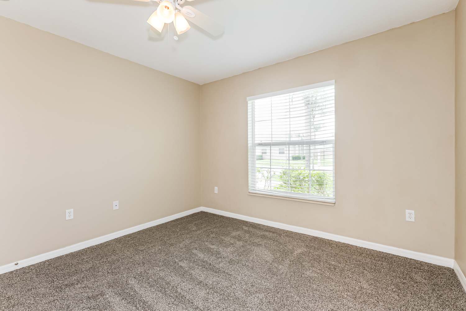 7205 Royal George Ct Zephyrhills photo 13