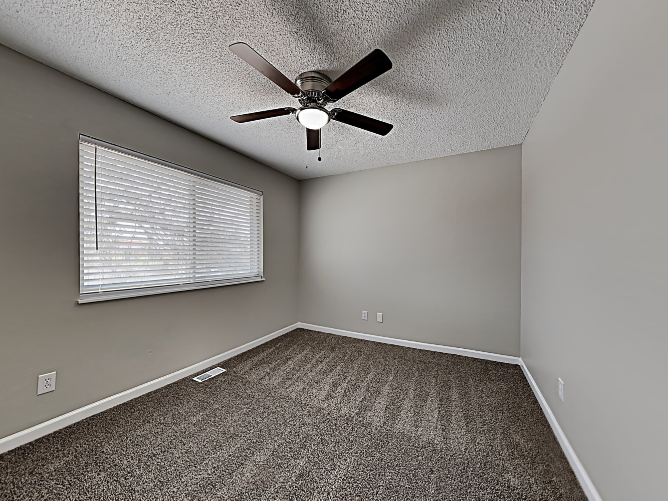 7595 Deer Trl Colorado Springs photo 16
