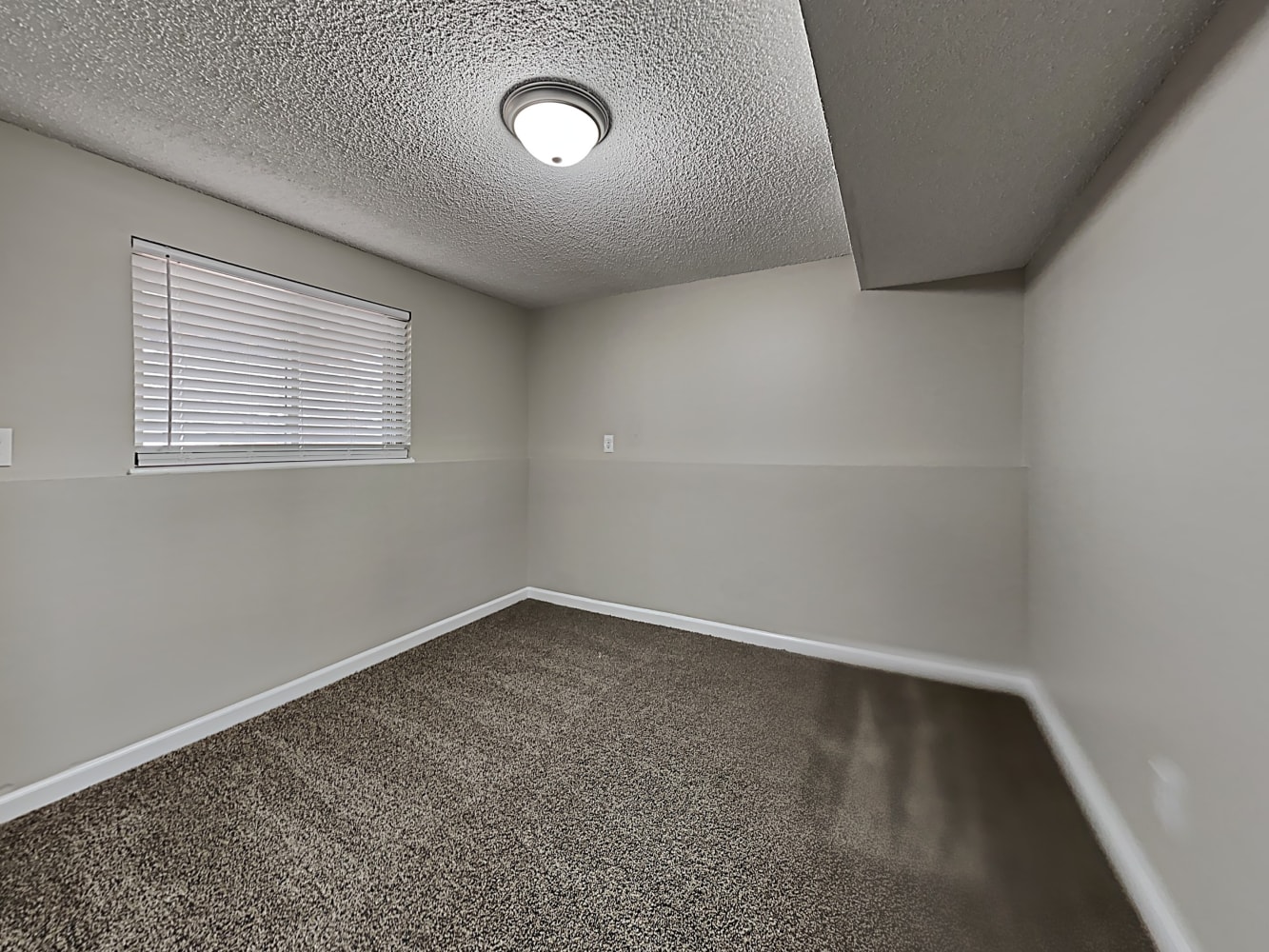 7595 Deer Trl Colorado Springs photo 15