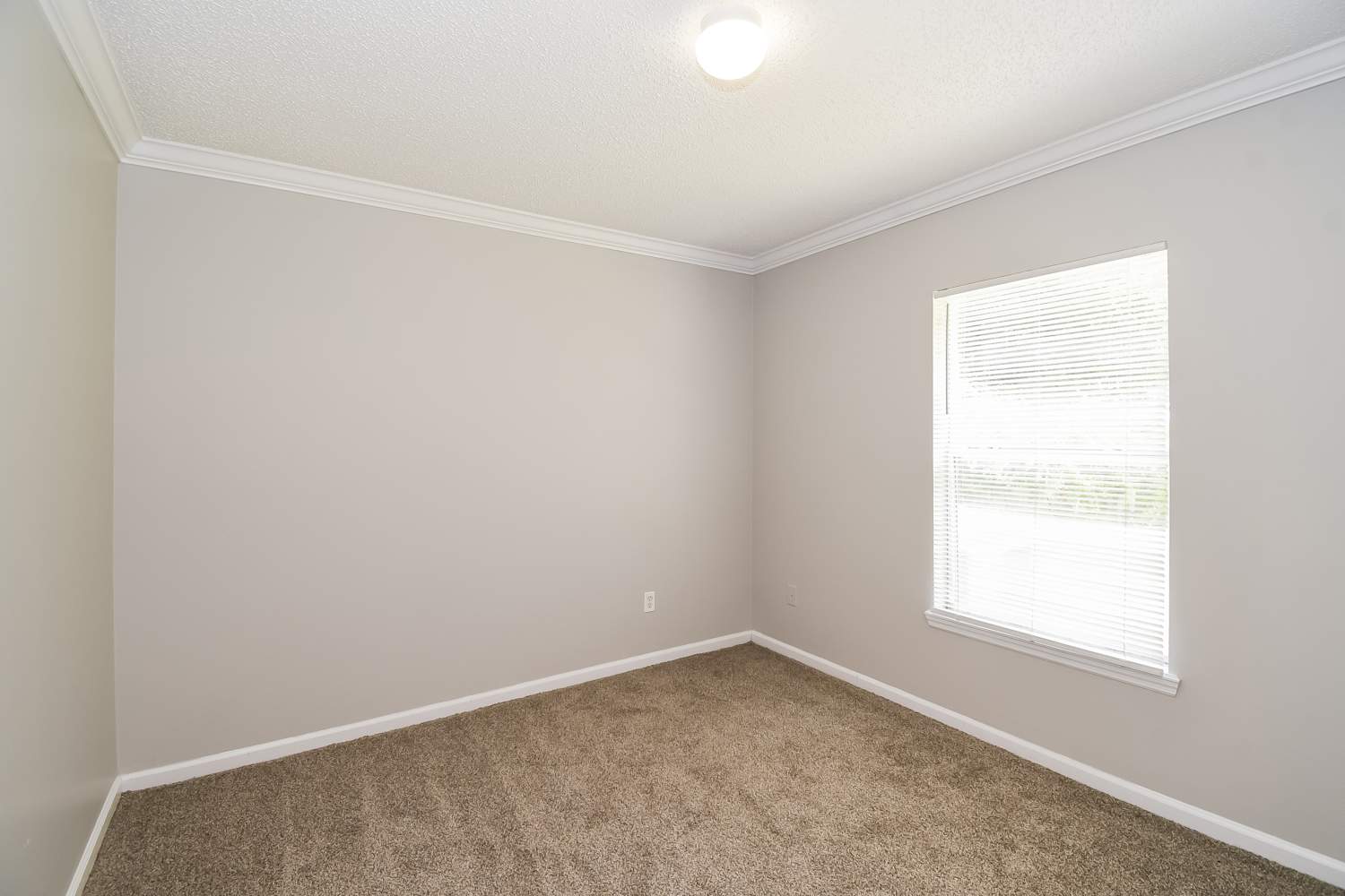 9294 Thunderbolt Dr Jacksonville photo 12