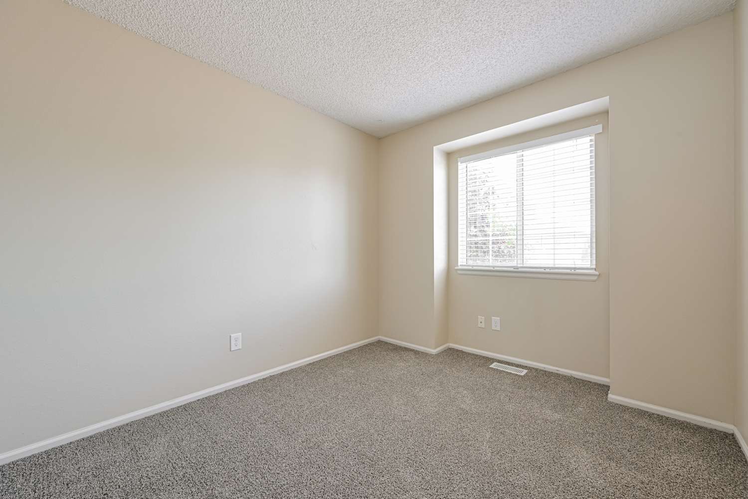 9636 Lameria Dr Highlands Ranch photo 16