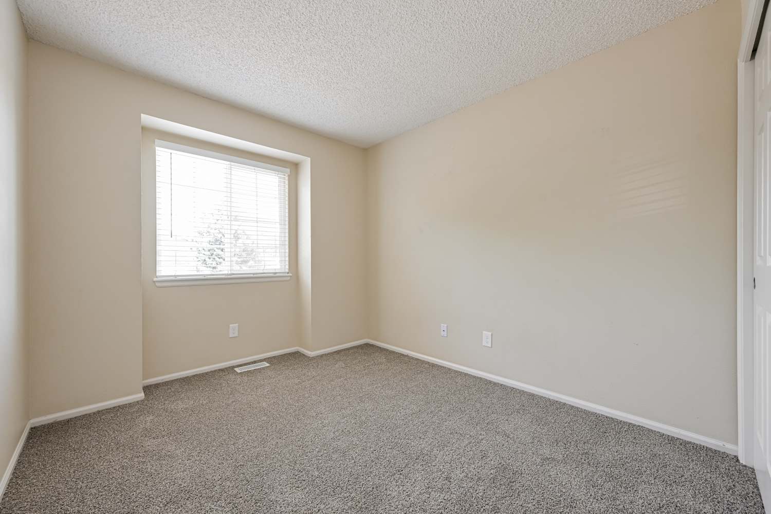 9636 Lameria Dr Highlands Ranch photo 15